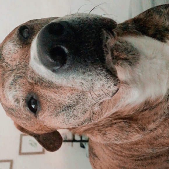 Meet your Posher, Aubrey - Picture 1 of 1